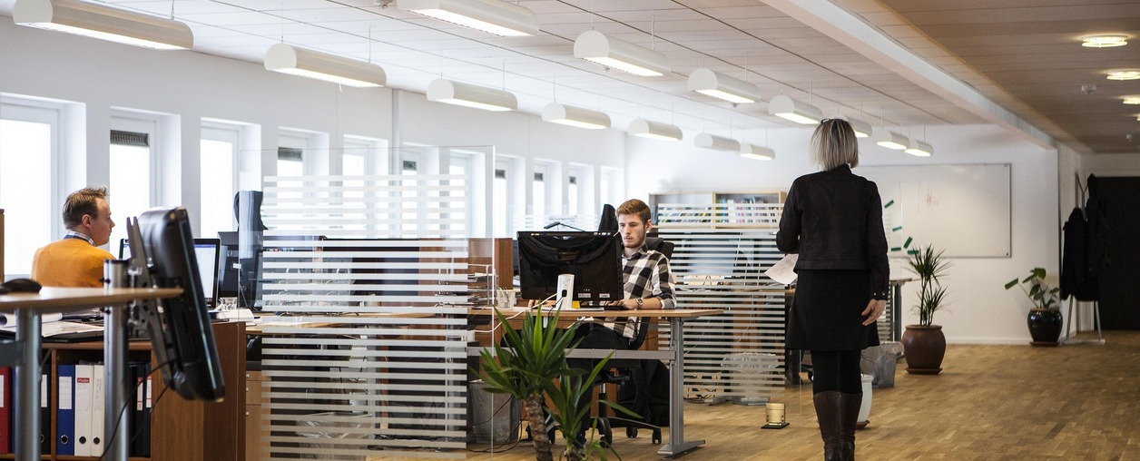 A Complete Guide to Company Liquidation in the UAE